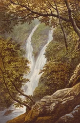 Stock Gill Force